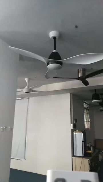 Modern ceiling  fan 3 blade