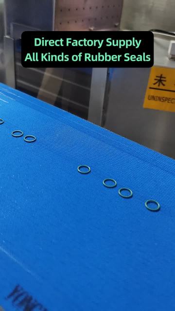 Precision Seals Built for Global Industries ?