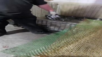 rough grinding
