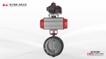lined fluorine control valve