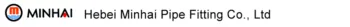 Hebei Minhai Pipe Fittings Co.,Ltd.