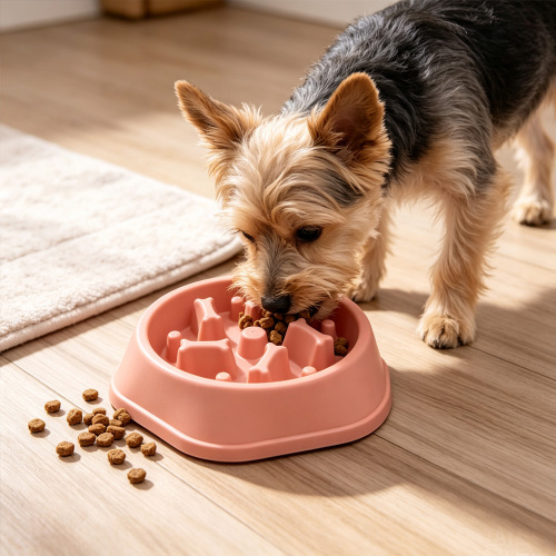Pet feeding bowl is innovative and environmentally friendly