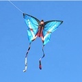 New Model Butterfly Kite: Fly High and Beautiful1