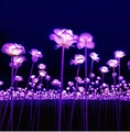 2023 New Low Voltage DMX Controlled RGB Color Cotton Rose Flowers for Events and Weddings1