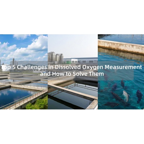 Top 5 Challenges in Dissolved Oxygen Measurement and How to Solve Them