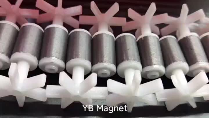 Ferrite magnet molded&assembly