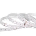 NEW ARRIVAL: 24V LED Magic Digital Dream Color Outdoor Strip Light1