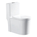 Wholesale Sanitary Wares: WC S Trap 250mm One Piece Ceramic Toilet1