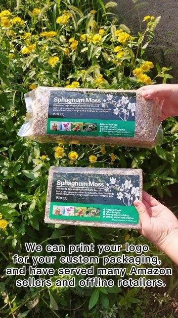 Wholesale Dried Natural Preserved Moss Supplies1