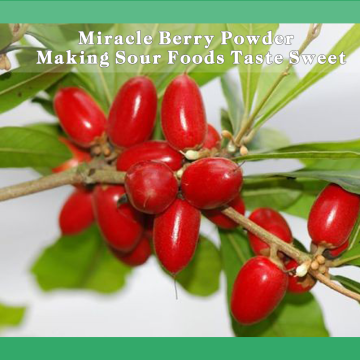 Miracle Berry Synsepalum dulcificum Powder может ли из кислых или кислых продуктов вкус сладким?