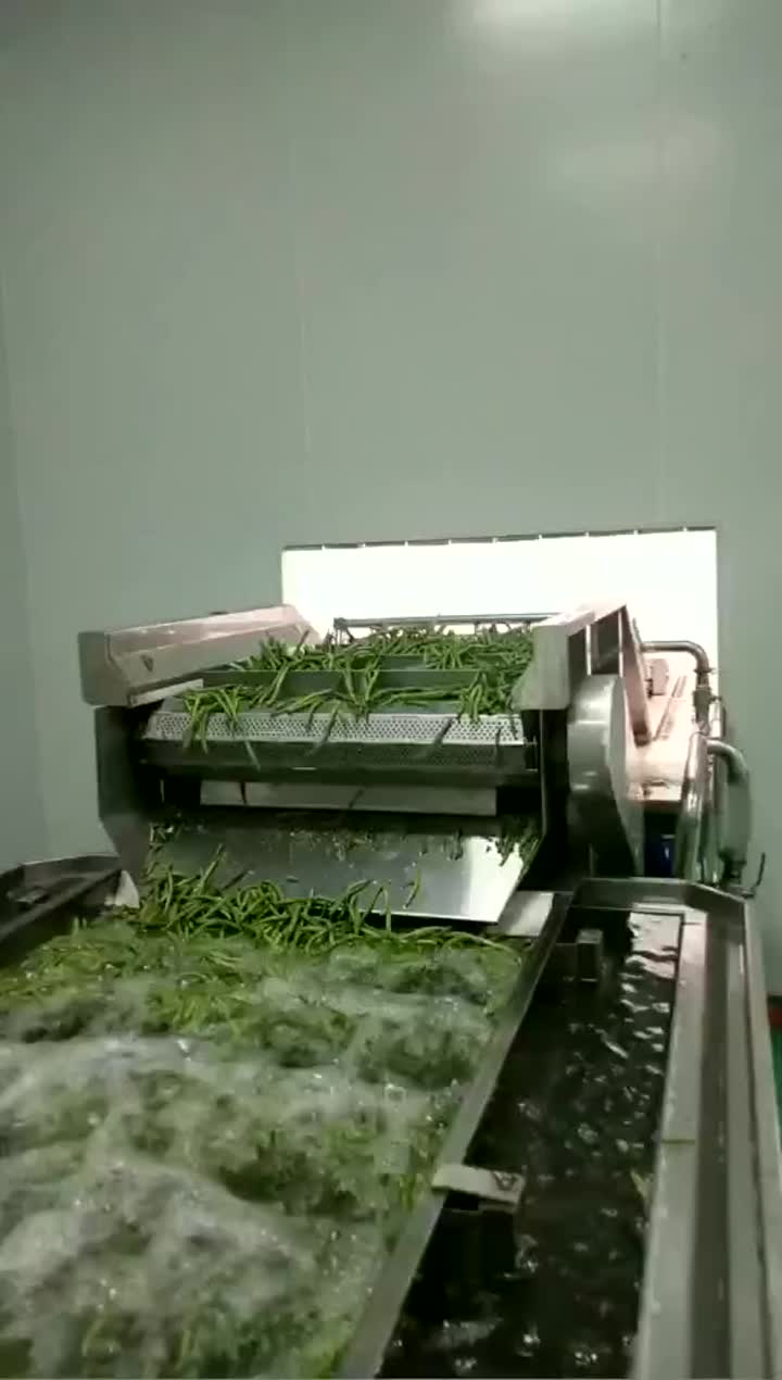 Green beans washing process