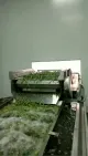 Macchine per la lavorazione della frutta e delle verdure automatiche
