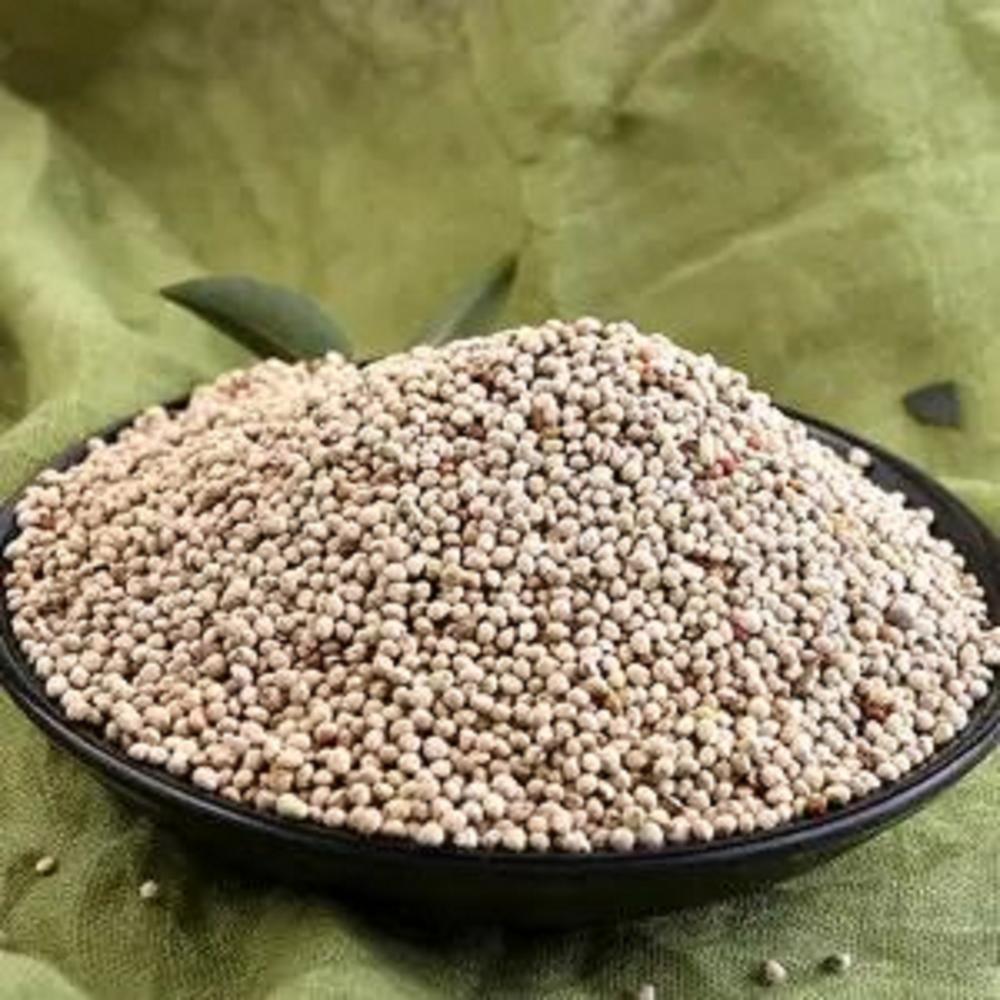 Perilla Seeds Images