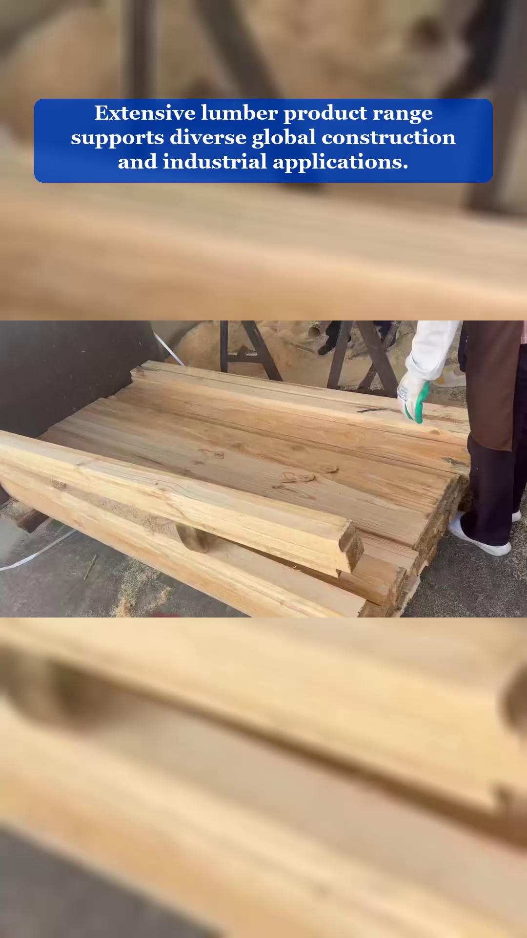 Video 13