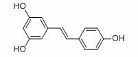 Factory Supply Giant Knotweed Extract/Polydatin/Polydatin Powder