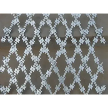Top 10 Most Popular Chinese Welded Razor Wire Brands