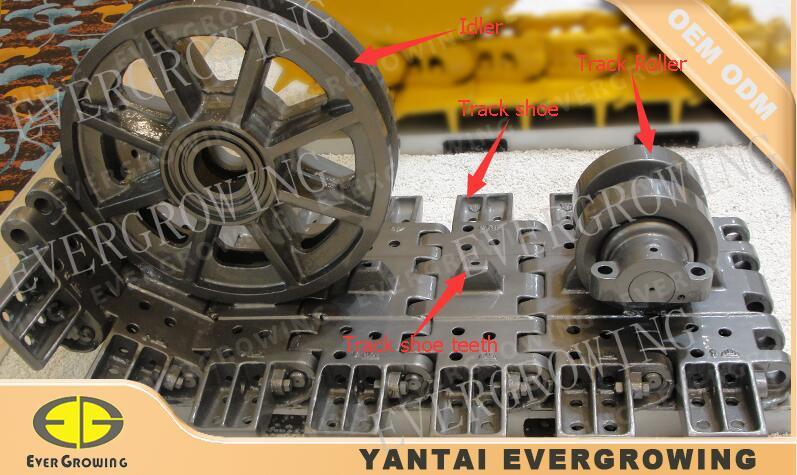 Yantai Evergrowing Import And Export Co.,Ltd.