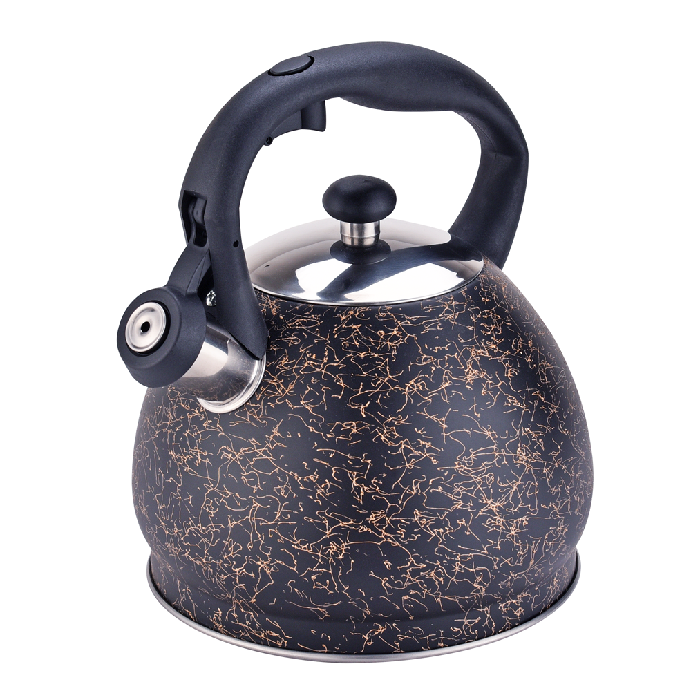 FH-517 Kettle en acier inoxydable noir de haute qualité