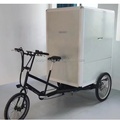Electric Trike Solutions for Urban Freight and Supermarket Delivery1
