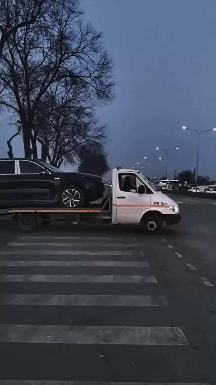 Китай Li Auto L9