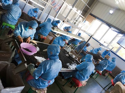 NINGXIA HONG RISING BIOLOGICAL TECHNOLOGY CO.,LTD.