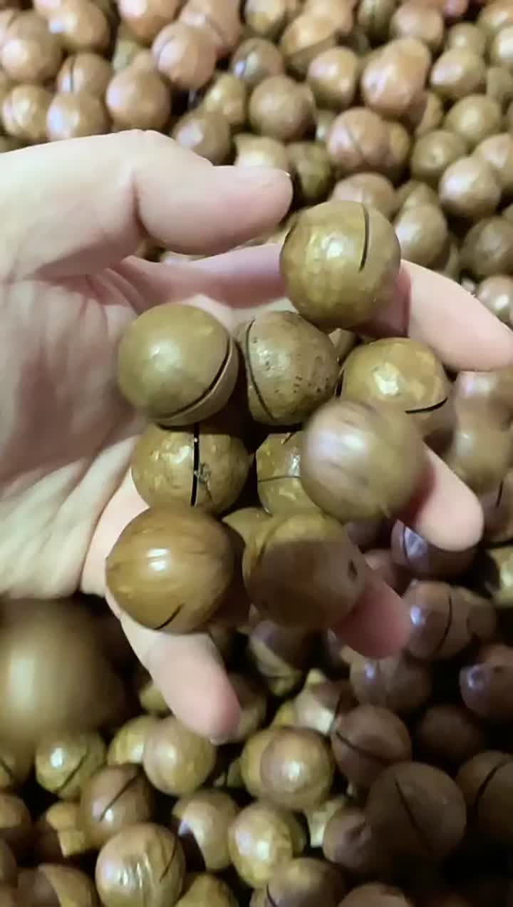 nuez de macadamia