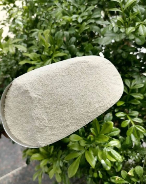 Rice Protein Powder 70% Specification