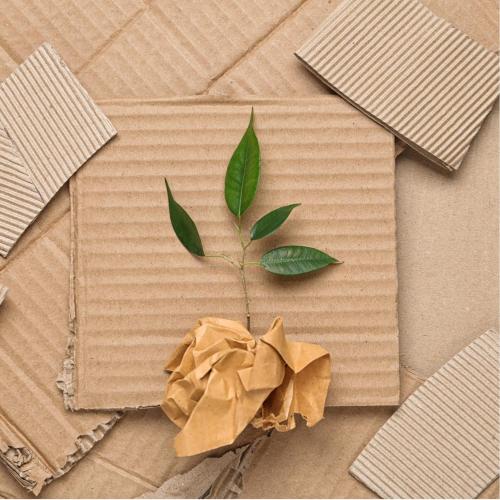 El embalaje sostenible de la cadena de frío se convierte en el nuevo estándar de la industria