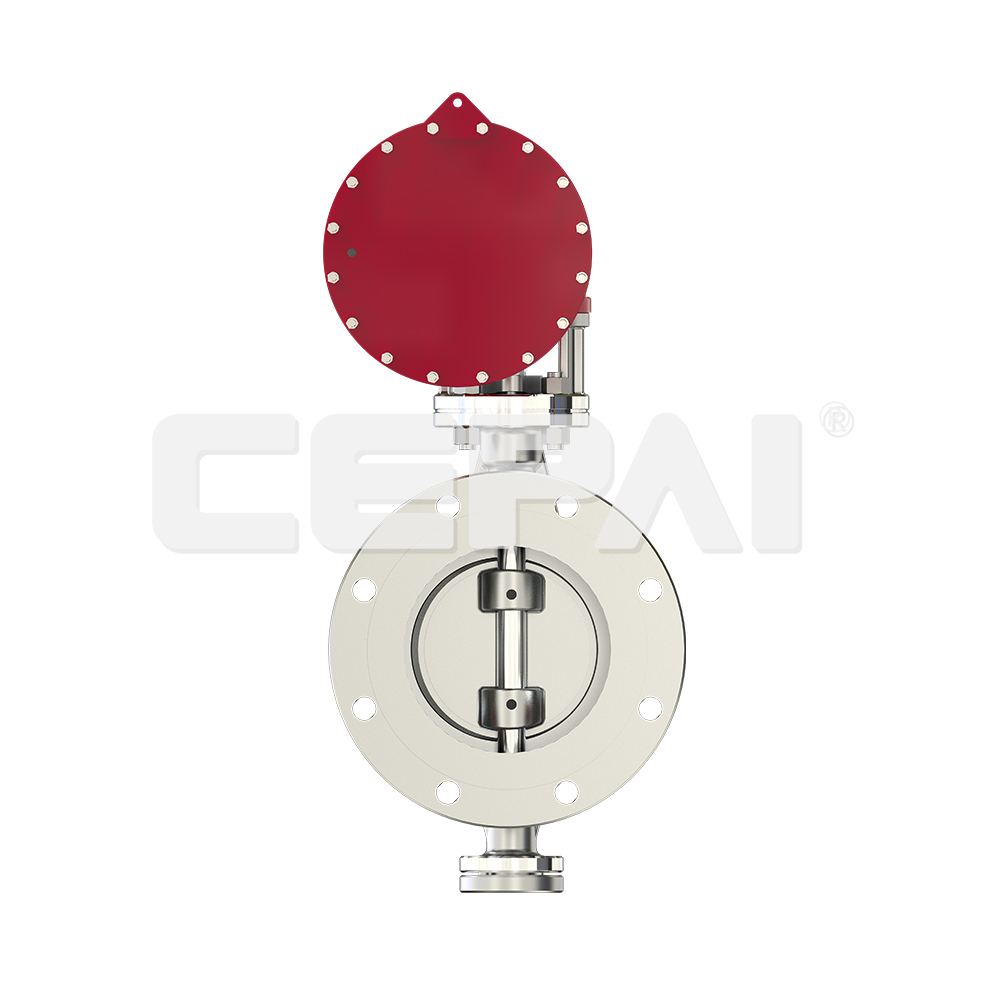 Pneumatic Single Seat Control Valve