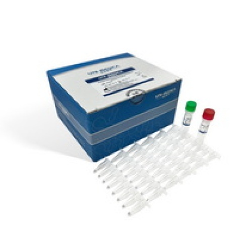 Carbapenem Resistance Gene