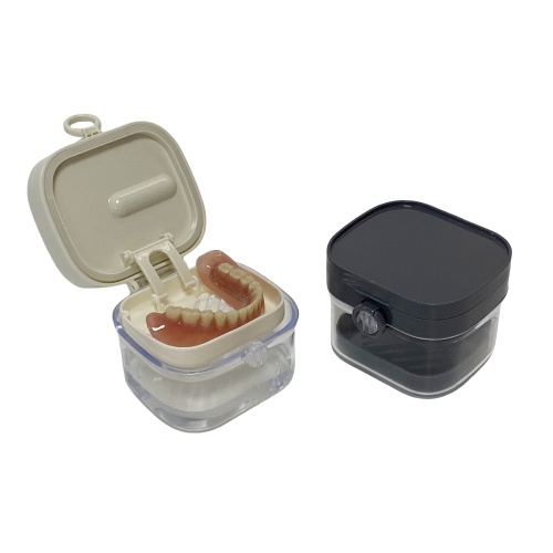 HN-DB1002 Automatic Rising Denture Bath