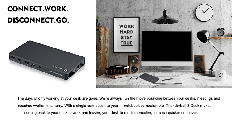 8K 9 in 1 Thunderbolt 3 Dock Docking Station met DP Dual Bay NVME NGFF 2TB SSD Bekleding 40 Gbps Power Delivery voor MacBook