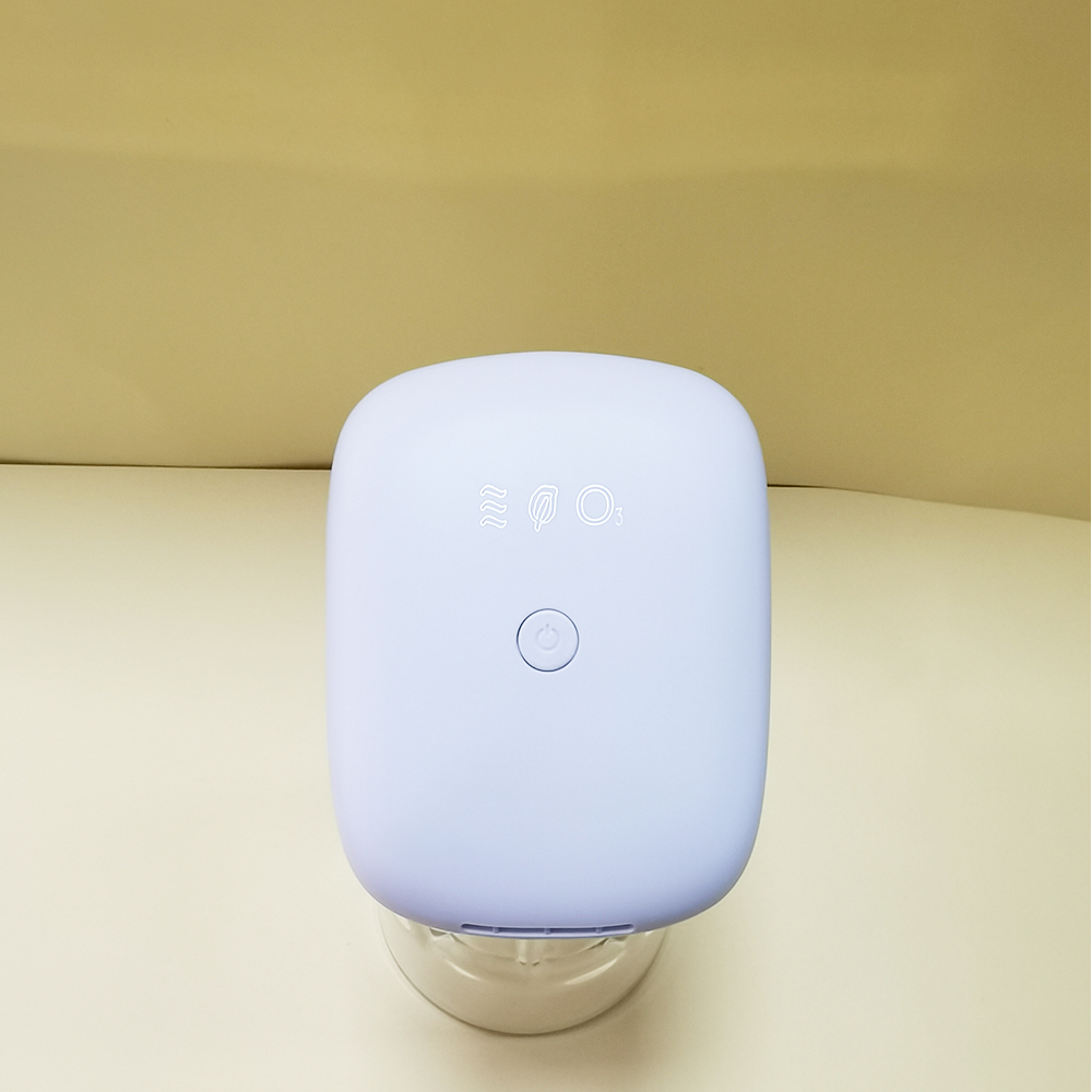 portable Ozone Air Purifier