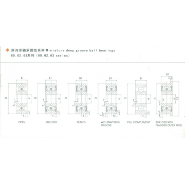 China Top 10 Deep Groove Bearings Potential Enterprises