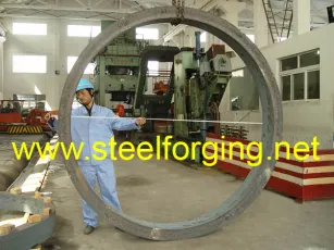 Jiangyin Fangyuan Ringlike Forging and Flange Co., Ltd