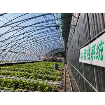 Six Trends of Smart Greenhouse Development in China