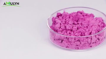 喷干火龙果粉