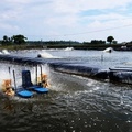 HDPE Pond Liner for Artificial Lakes, Landfills, and Mining - 1.5mm and 1.0mm Geomembranes1
