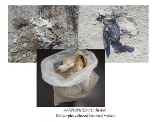 在土壤微塑料檢測中的高光譜成像技術的應用和探索