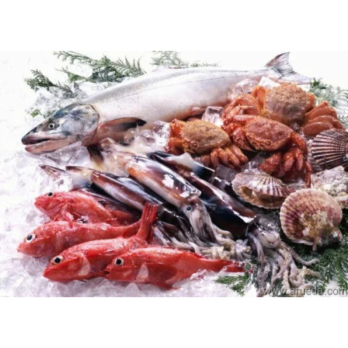 Global Green Packaging Technology (Suzhou) Co., Ltd. Lo más destacado de las tendencias emergentes de envasado de la cadena de frío en medio del crecimiento del mercado