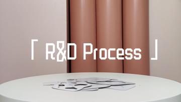 development process