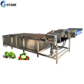 Industrial Vegetable Cleaning Machine - Spray Vegetable Washing Machine for Factory Supply1
