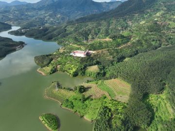 Promotional Video for Yunnan Premium Coffee Company