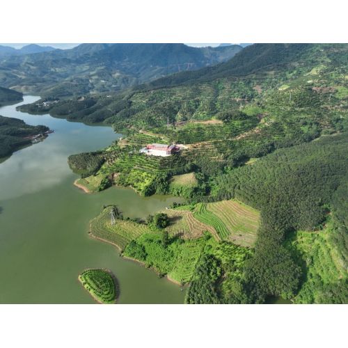 Vídeo promocional da Yunnan Premium Coffee Company