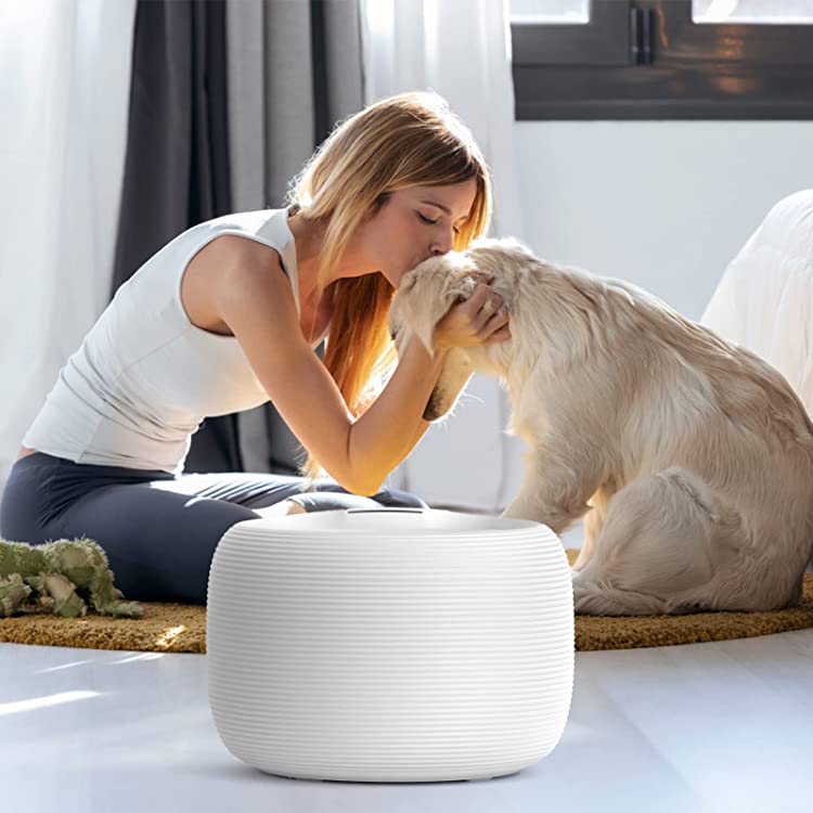 Pet Pod Pet Water Fountain