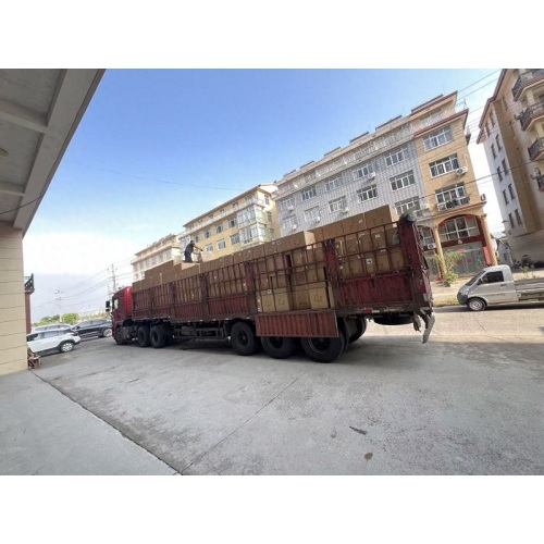 Sınır Ötesi Gerçekleştirme Orijinal Arzuyu Göstermektedir; Hassas Ürünler Piyasayı Kazanıyor! EYLEM ARAÇLARI Elektrikli Püskürtücüler Rusya'ya Başarıyla Gönderildi