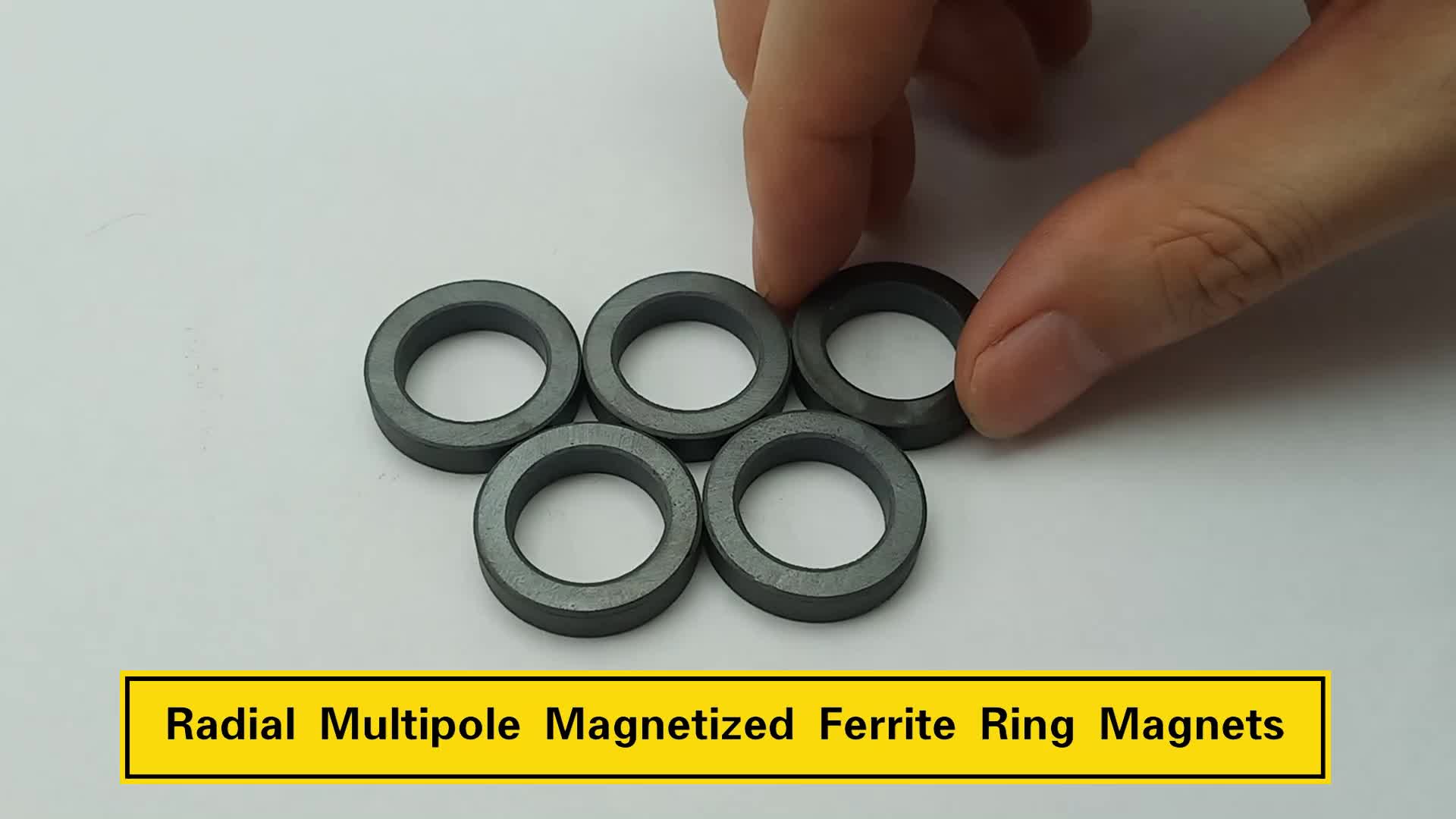 Magnete motorio cc diametrico a 24 poti velocità magneta gannato gigo