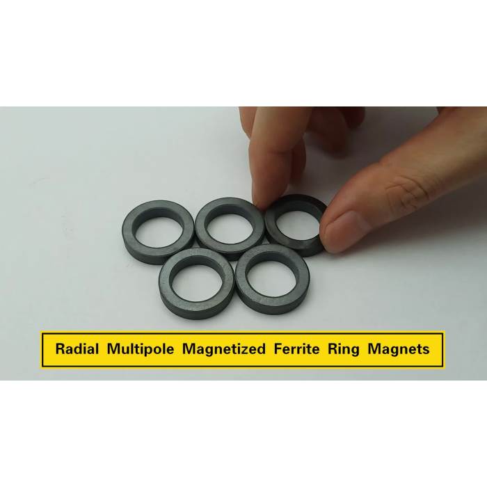 Speed Motor Magnetic Ring 16 Pole Magnetized Permanent Ferrite Magnet Ring1