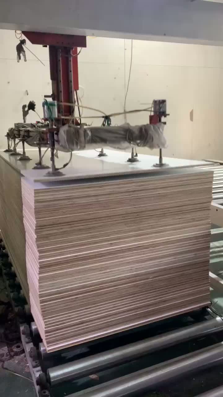 1220*2440*18mm 13 sluoksnių fanera su baltu UV melamino blizgiu paviršiumi