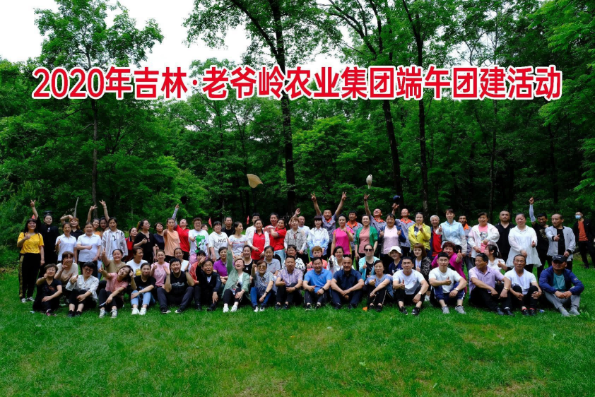 活动6